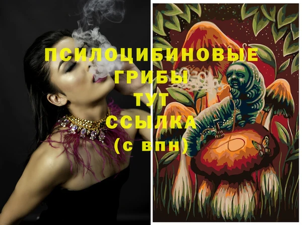 экстази Вяземский