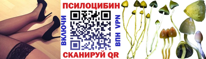 Галлюциногенные грибы прущие грибы  закладки  Зеленокумск 